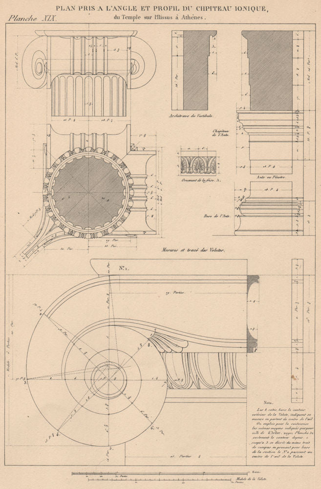 IONIC ARCHITECTURE. Temple on the Ilissus, Athens. Details of Capital 1931
